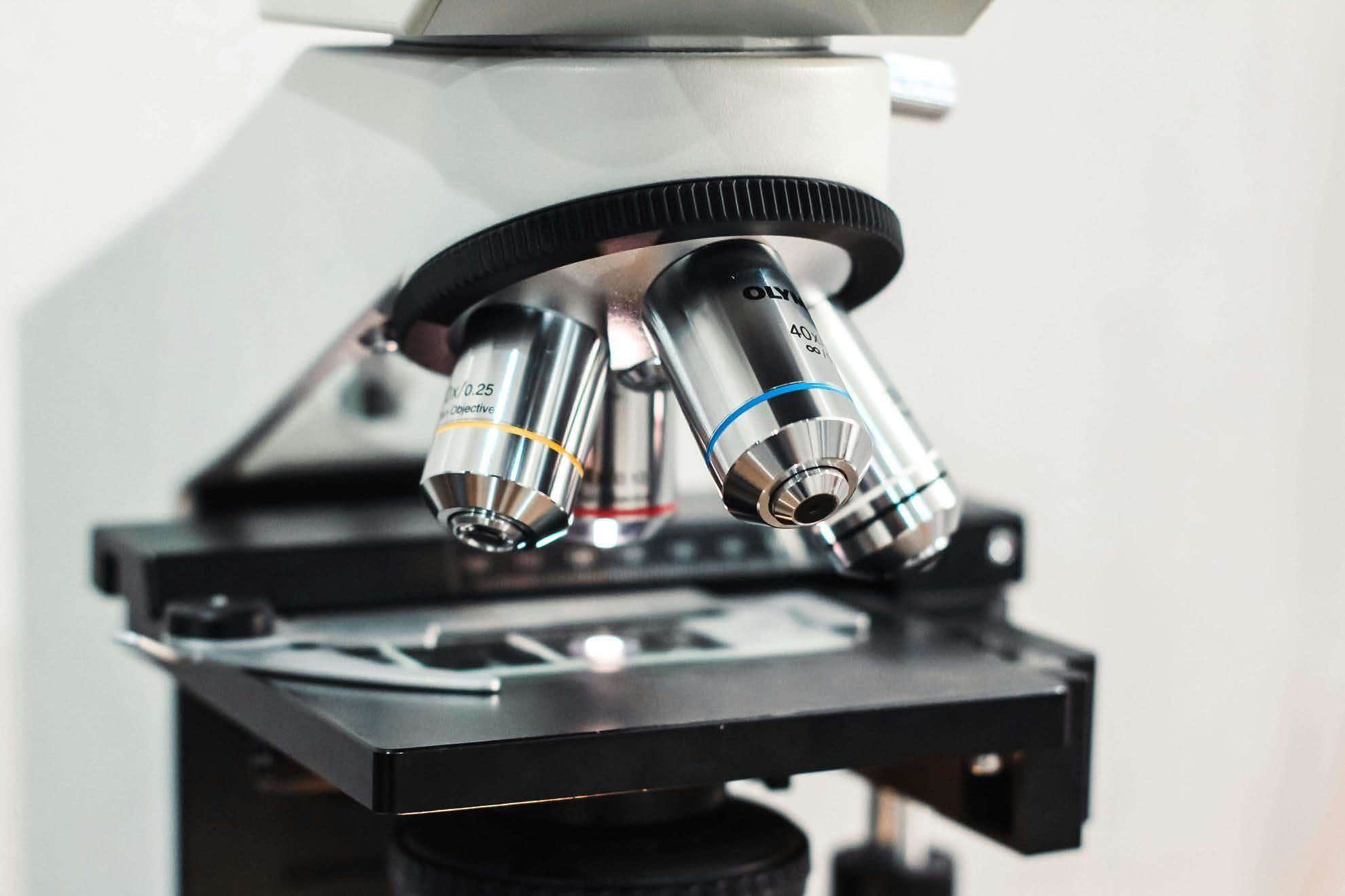 Diploma di Liceo Scienze Applicate Online