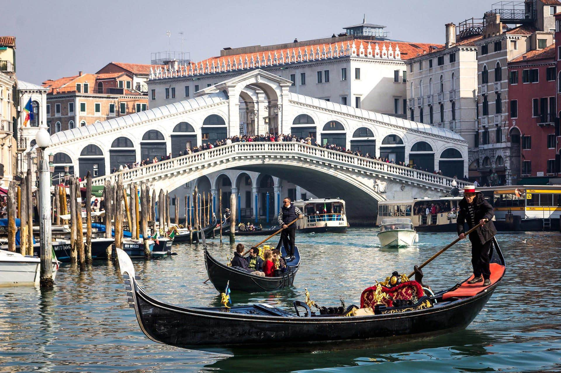 Sedi Grandi Scuole in Veneto con servizi on line